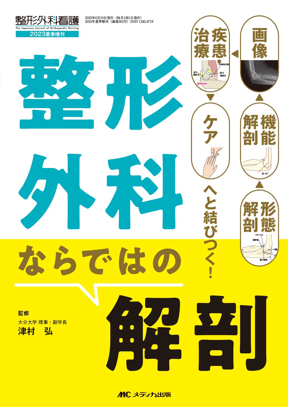 整形外科　解剖 整形外科ならではの解剖